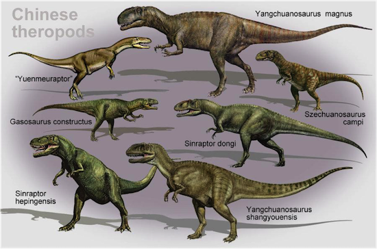 theropods feathers